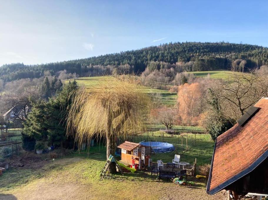 Logement Chaleureux, Vallee De Ville Steige Экстерьер фото