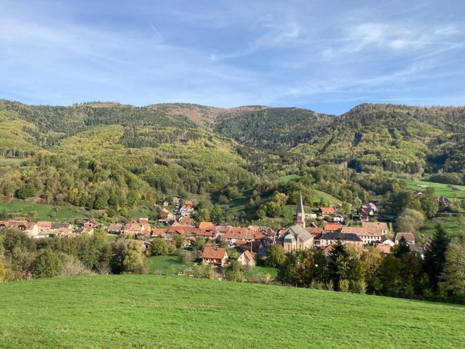 Logement Chaleureux, Vallee De Ville Steige Экстерьер фото